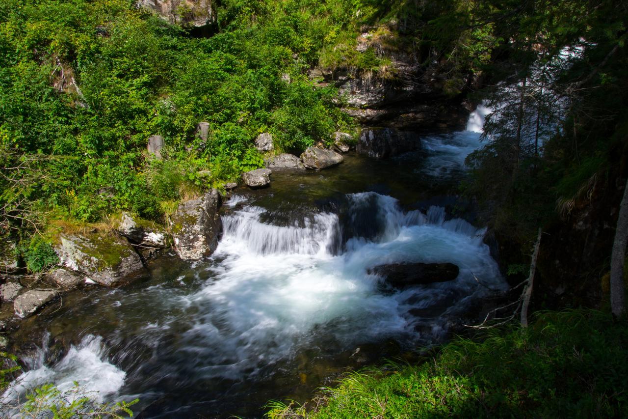 Appartamento Sissi Park Haus Im Ennstal - Schladming Esterno foto